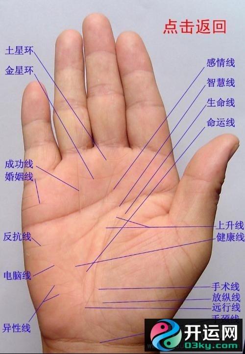 手相图解算命看那种手纹是最不缺钱的手指纹路