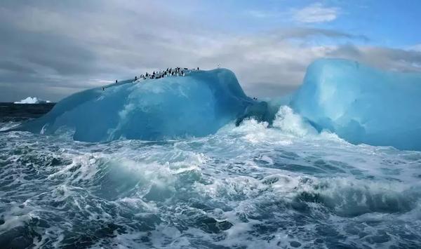 中国人进不了南极圈?139位科考队员:爬也要爬进去