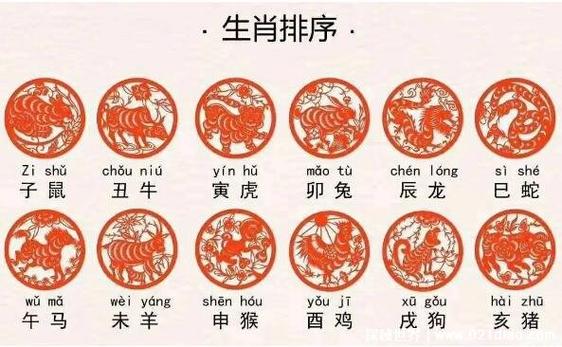 十二生肖排列顺序表图鼠/牛/虎/兔/龙/蛇/马/羊/猴/鸡/狗/猪 | 壹