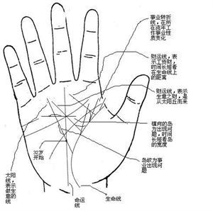 在手相上的远行线是从生命线底部分出来的向外伸的线左右手都有一般