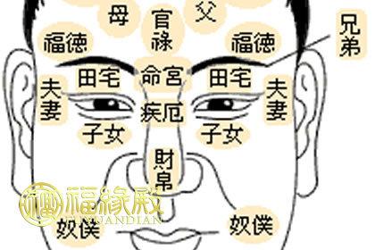 太阳星在夫妻宫代表什么