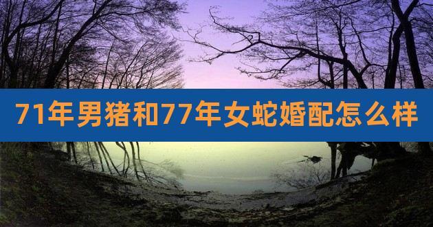 【71年属猪男与77年属蛇女相配吗?】猪和蛇差六岁民俗有六冲的说法.