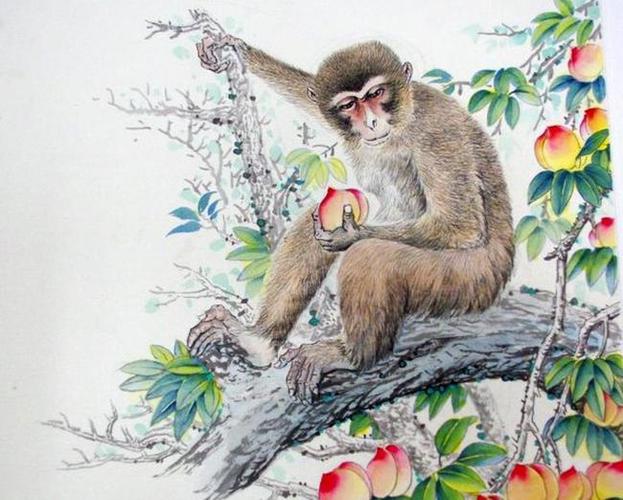 属猴的人在几月份出生 天生好命 一生锦衣玉食 富贵多金!