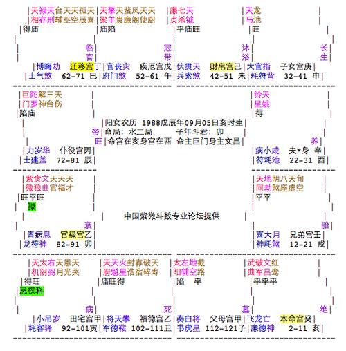 2013-04-24 22:08  提问者采纳 紫微斗数预测: 命宫在(亥) 武曲同宫