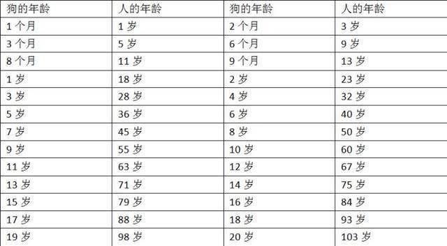 一文了解:狗狗几岁步入老年?老了的狗如何照顾才正确?