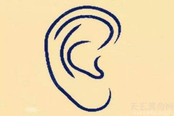 面相中将耳朵最外面的一圈软骨称为耳轮耳朵内围突起的软骨部分称为