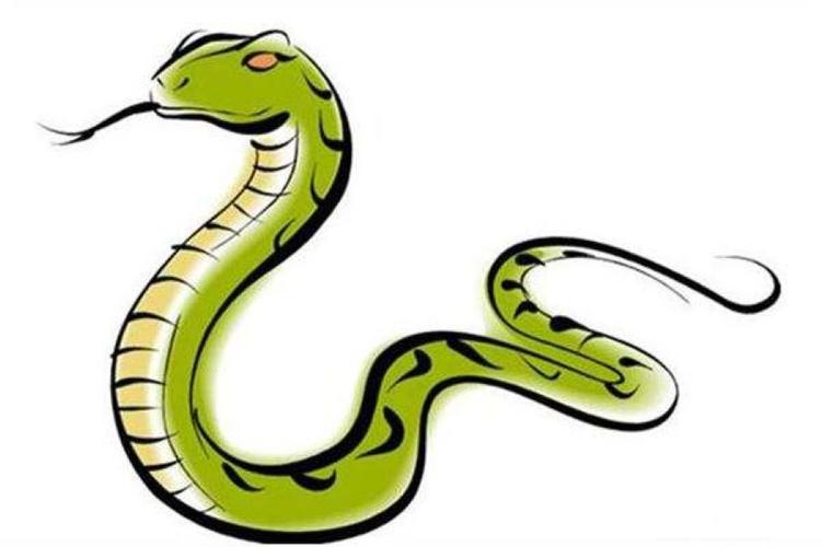 属蛇的几月出生最好 属蛇的和什么属相最配 属蛇的名人 属蛇的
