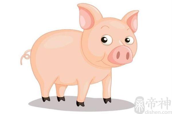 生肖猪的性格缺点有哪些