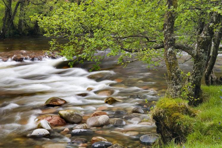 时间曝光河流水英国欧洲地形山谷苏格兰草树绿色风景小溪
