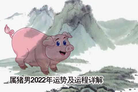 2022年属猪人的全年运势男性_2022年生肖运势_祥安阁风水网